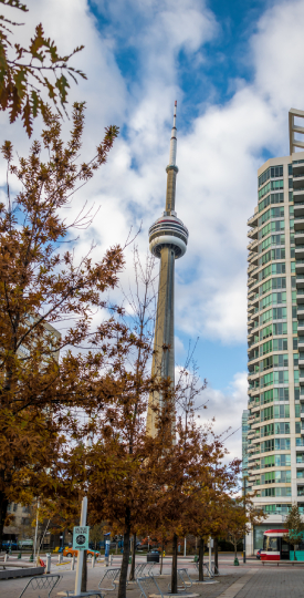 buildings-in-downtown